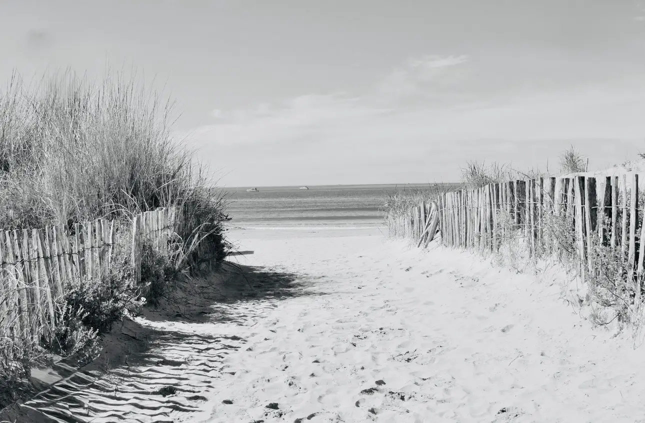 10 Montpellier accès plage BST Consultant (1) 10 Montpellier accès plage BST Consultant (1)